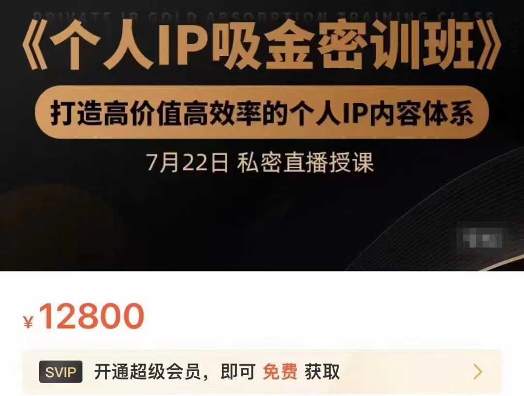 个人IP吸金密训班,打造高价值高效率的个人IP内容体系(价值12800元)-课程网
